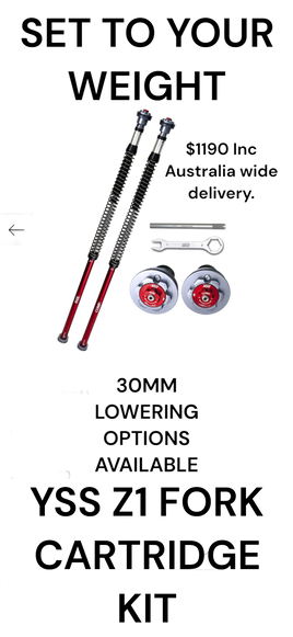 CRF300 YSS Z1 FORK CARTRIDGE KIT