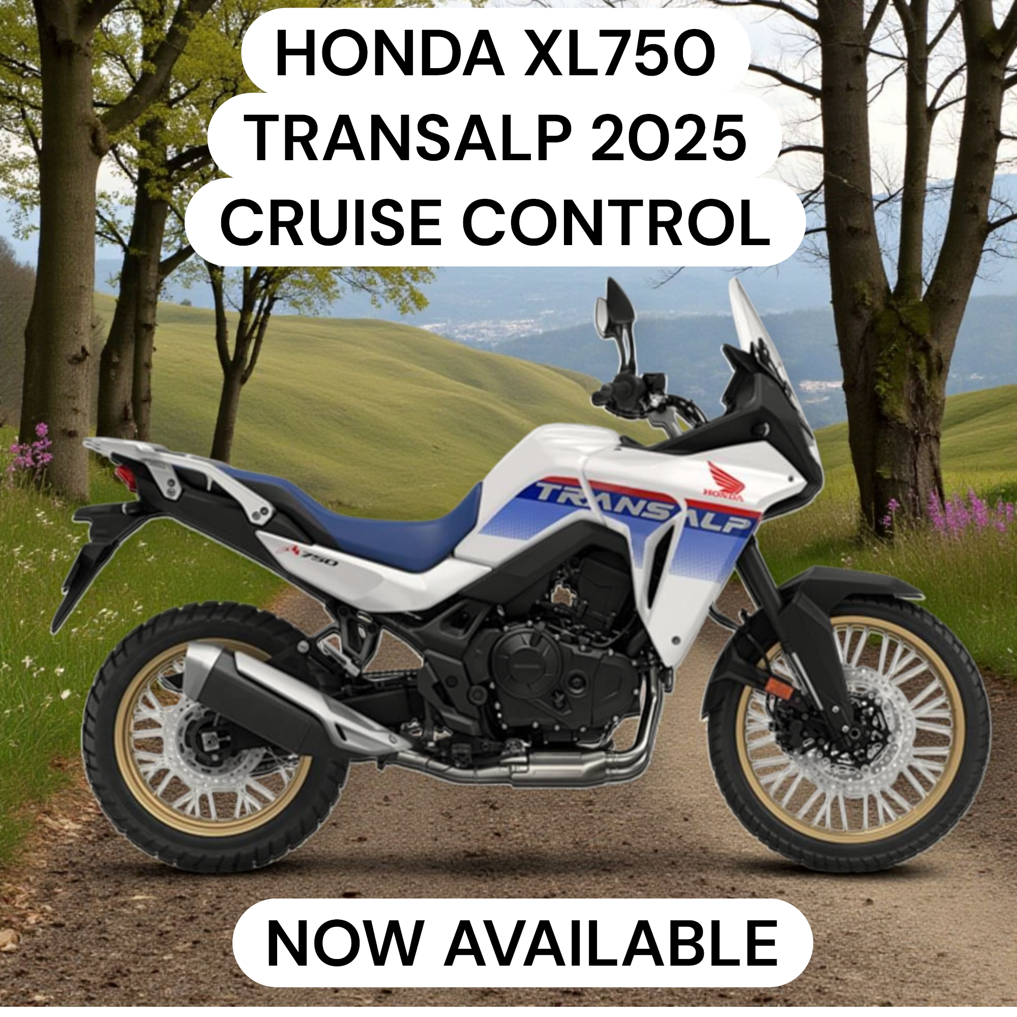 HONDA XL750 2023-2025 TRANSALP VERIDIAN CRUISE CONTROL| SSS