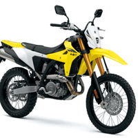 Suzuki DR-Z4S VERIDIAN CRUISE CONTROL